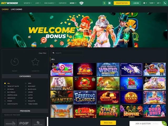 BetWinner Online Casino Experience the Thrill of Winning