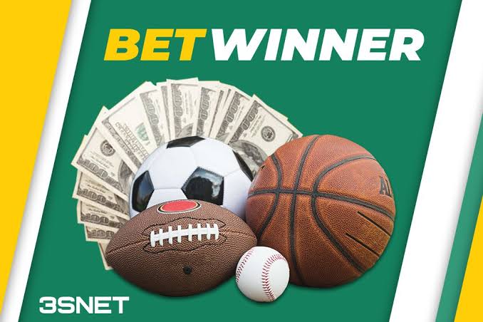 BetWinner Online Casino Experience the Thrill of Winning