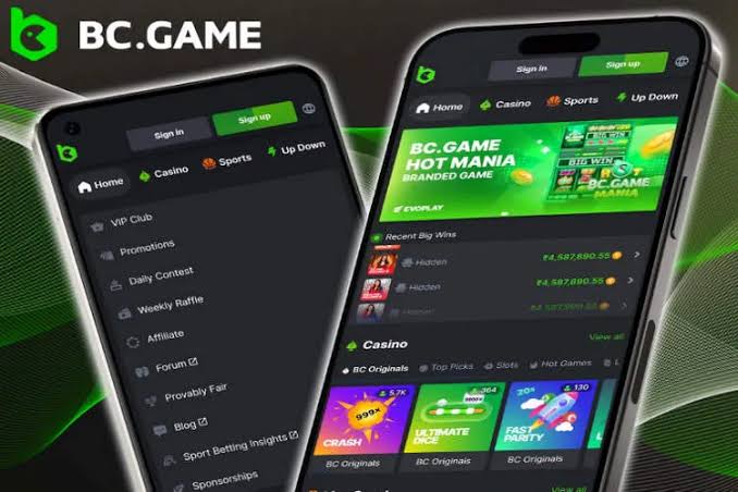 Explore the Exciting World of BC.Game India