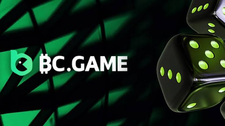 Understanding the BC.CO Login Process A Comprehensive Guide