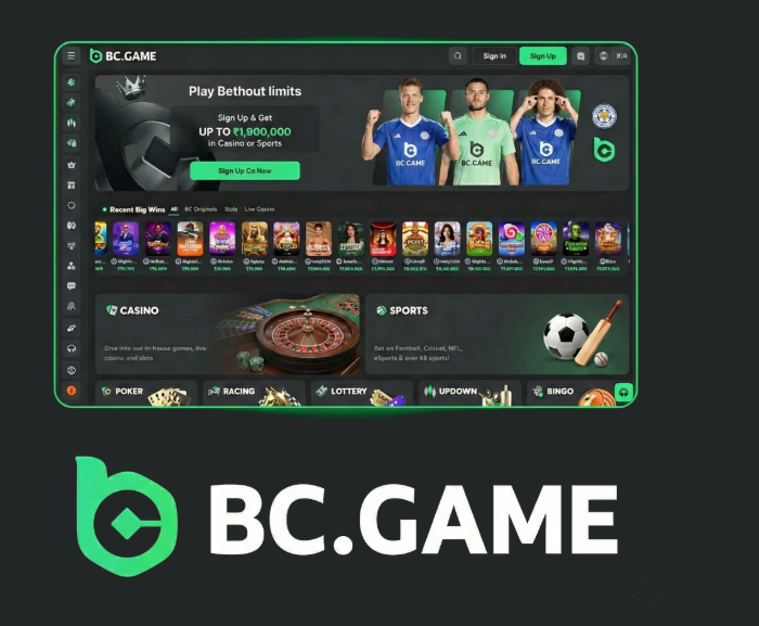 Discover the Exciting World of BC.Game Casino Platform -322385807